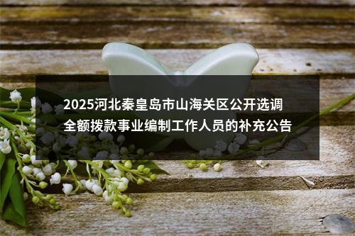 2025河北秦皇岛市山海关区公开选调全额拨款事业编制工作人员的补充公告