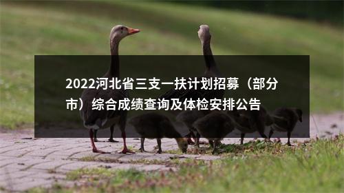 2022河北省三支一扶计划招募（部分市）综合成绩查询及体检安排公告 图片