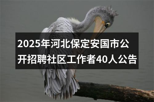 2025年河北保定安国市公开招聘社区工作者40人公告 图片