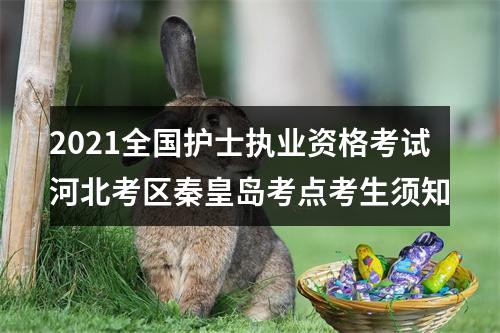 2021全国护士执业资格考试河北考区秦皇岛考点考生须知 图片
