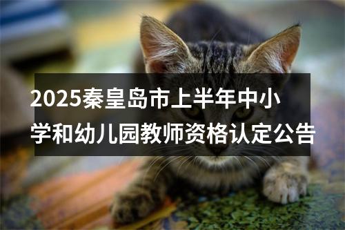 2025秦皇岛市上半年中小学和幼儿园教师资格认定公告 图片