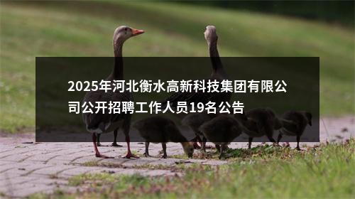 2025年河北衡水高新科技集团有限公司公开招聘工作人员19名公告 图片