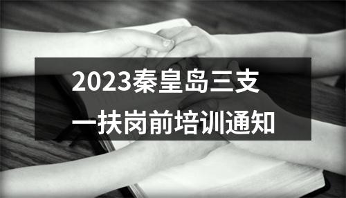 2023秦皇岛三支一扶岗前培训通知 图片