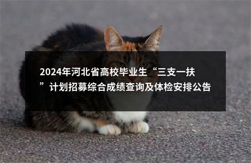 2024年河北省高校毕业生“三支一扶”计划招募综合成绩查询及体检安排公告 图片