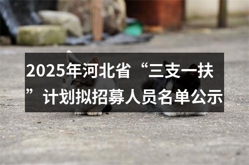 2025年河北省“三支一扶”计划拟招募人员名单公示 图片