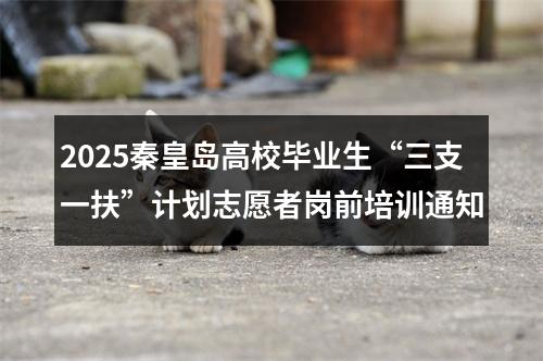 2025秦皇岛高校毕业生“三支一扶”计划志愿者岗前培训通知 图片