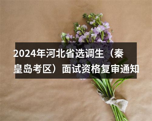2024年河北省选调生（秦皇岛考区）面试资格复审通知 图片