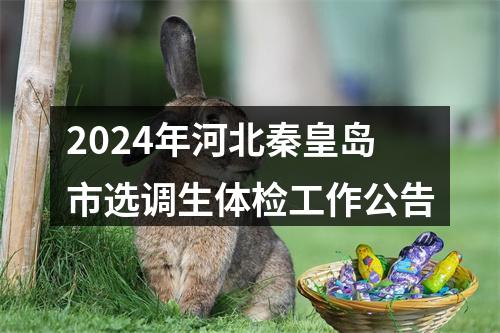 2024年河北秦皇岛市选调生体检工作公告 图片