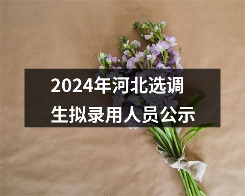 2024年河北选调生拟录用人员公示 图片