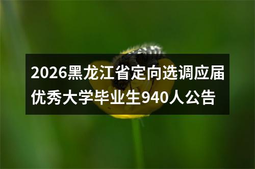 2026黑龙江省定向选调应届优秀大学毕业生940人公告 图片