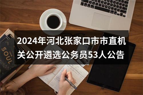 2024年河北张家口市市直机关公开遴选公务员53人公告 图片
