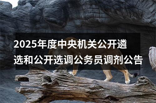 2025年度中央机关公开遴选和公开选调公务员调剂公告 图片
