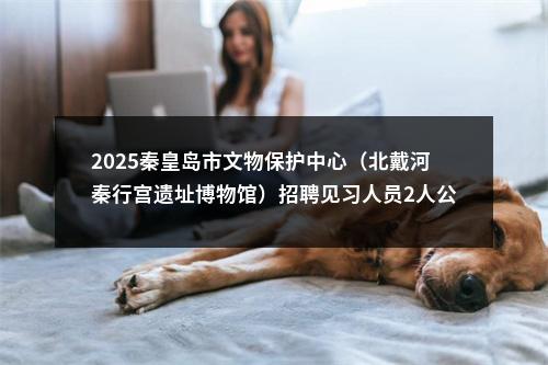2025秦皇岛市文物保护中心（北戴河秦行宫遗址博物馆）招聘见习人员2人公告 图片