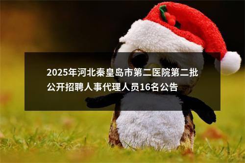 2025年河北秦皇岛市第二医院第二批公开招聘人事代理人员16名公告 图片