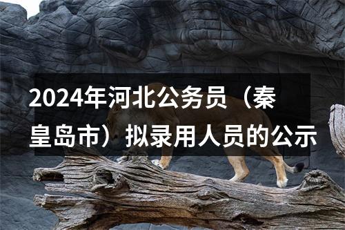 2024年河北公务员（秦皇岛市）拟录用人员的公示 图片
