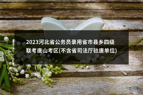2022河北省公务员四级联考秦皇岛考区证件审核通知 图片