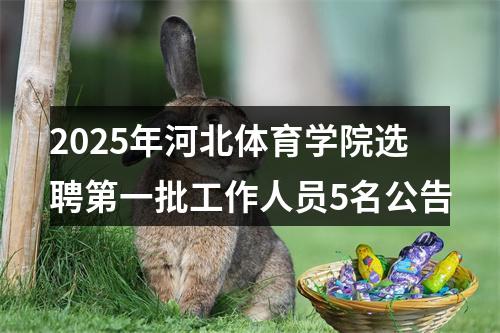 2025年河北体育学院选聘第一批工作人员5名公告 图片