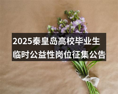 2025秦皇岛高校毕业生临时公益性岗位征集公告 图片
