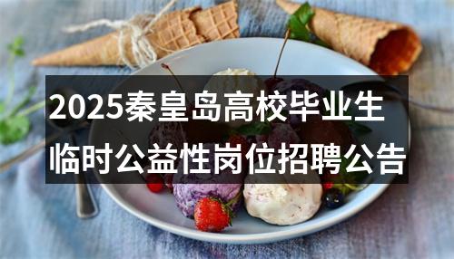 2025秦皇岛高校毕业生临时公益性岗位招聘公告 图片