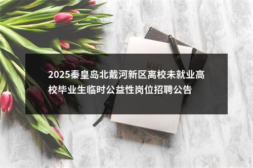 2025秦皇岛北戴河新区离校未就业高校毕业生临时公益性岗位招聘公告 图片