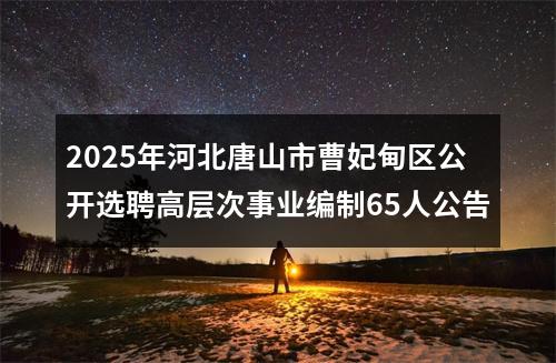 2025年河北唐山市曹妃甸区公开选聘高层次事业编制65人公告 图片