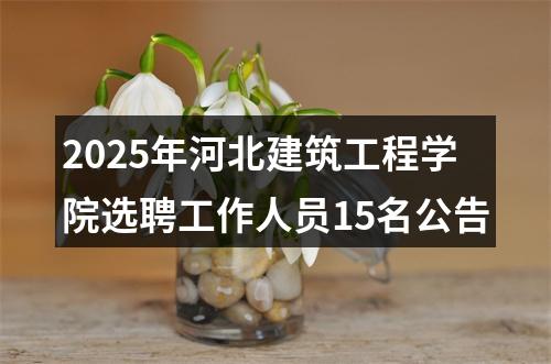 2025年河北建筑工程学院选聘工作人员15名公告 图片