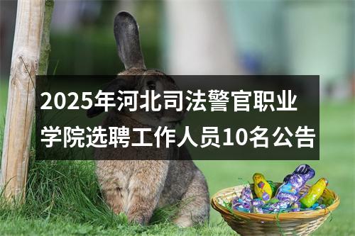 2025年河北司法警官职业学院选聘工作人员10名公告 图片