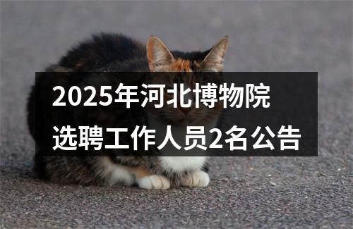 2025年河北博物院选聘工作人员2名公告 图片