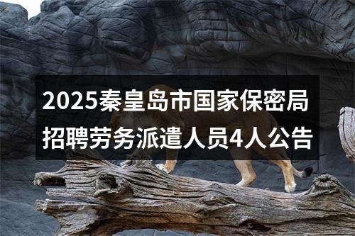 2025秦皇岛市国家保密局招聘劳务派遣人员4人公告 图片
