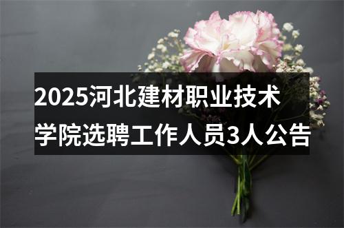2025河北建材职业技术学院选聘工作人员3人公告 图片