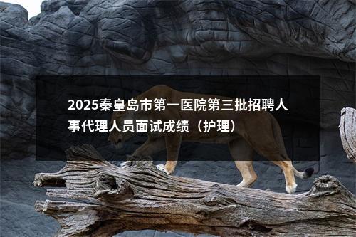 2025秦皇岛市第一医院第三批招聘人事代理人员面试成绩（护理） 图片