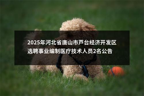 2025年河北省唐山市芦台经济开发区选聘事业编制医疗技术人员2名公告 图片